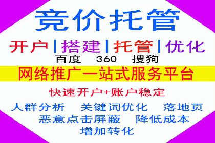 成功案例解析：SEO与SEM协同营销策略